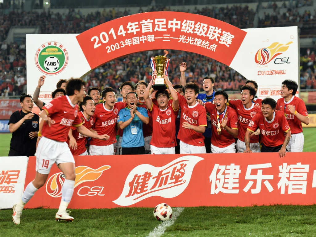 足球發展中 足球發展中