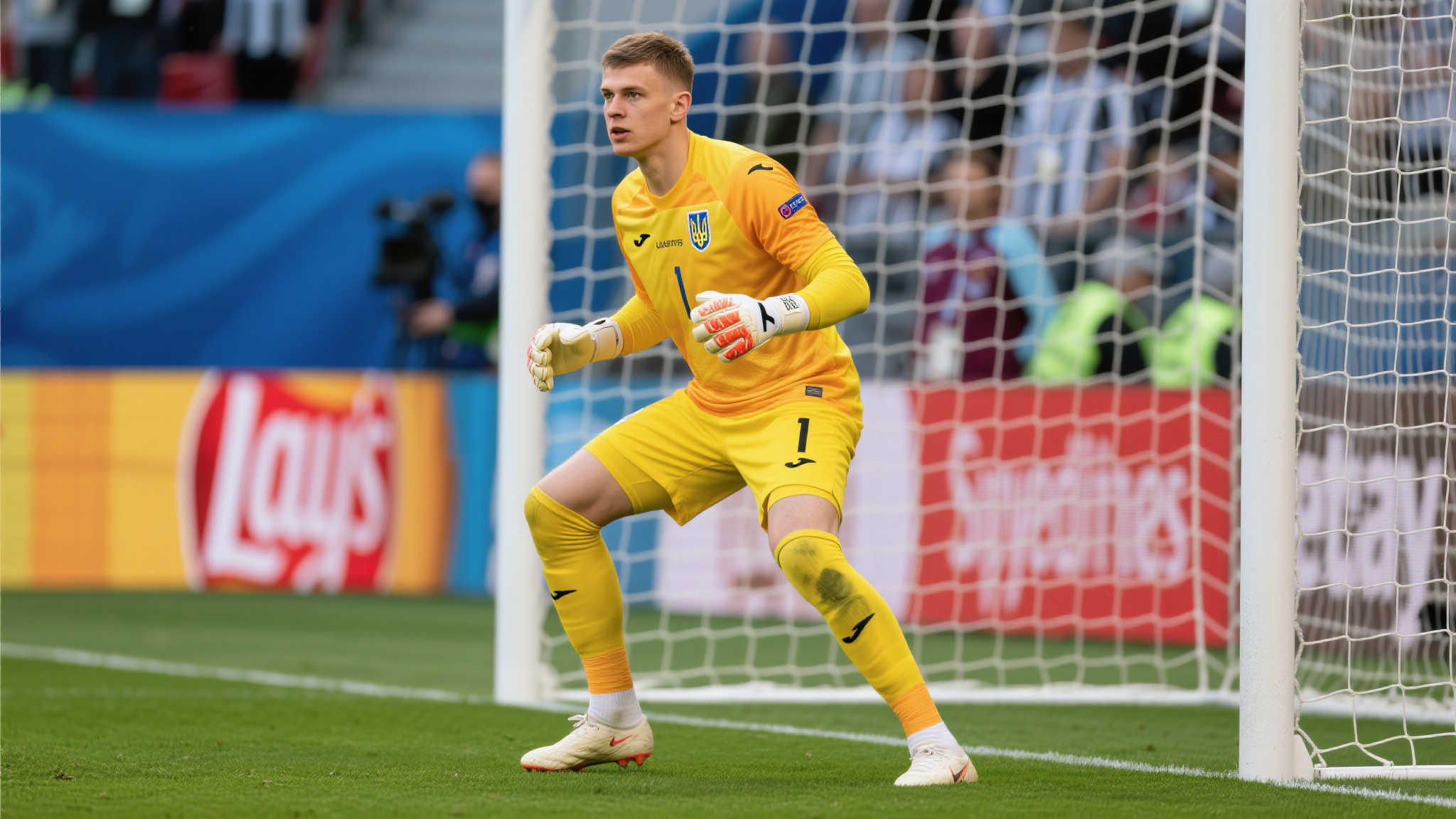 现状与需求 现状与需求